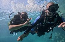 Padi Open Water Diver Course 