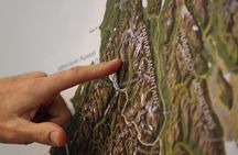 Half-Day Milford Sound Nature Cruise and Flight from Queenstown
