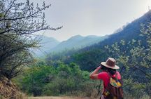 Mountain Hike & Rituals