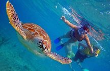 Full day Oahu´s North Shore Circle Island & Snorkeling w/ Turtles
