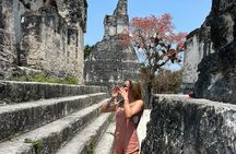 Full Day Tikal Tour by Plane from Guatemala City