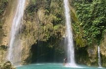 Cebu Tumalog, Inambakan Falls, Sardines and Whaleshark Watching
