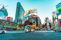 Tokyo Private Sightseeing Tour W/English Speaking Driver
