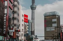 Tokyo Private Sightseeing Tour W/English Speaking Driver