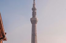 Tokyo Private Sightseeing Tour W/English Speaking Driver
