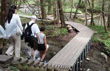Kamikochi Private Summer Escape: Meet Wildlife in Pristine Nature