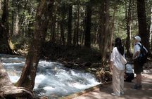 Kamikochi Private Summer Escape: Meet Wildlife in Pristine Nature