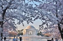 Private Full Day Washington DC Tour from New York City