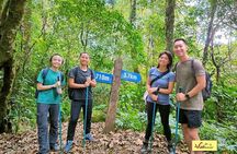 Trek On Langbian Mountain