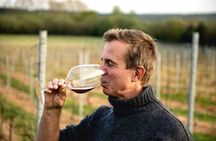 Rome Countryside Wine Tasting Tour with Private Driver and Guide