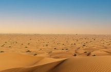 Evening Desert Safari with Dune Bashing and Dinner in Desert