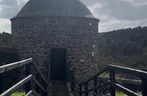 Executive Causeway Coastal Tour, Private Hire 1-7 people, 8 hours