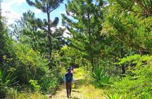 Kayaking Mangroves Mauritius 