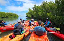 Kayaking Mangroves Mauritius 