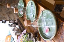 Terrarium Making Experience in Cirencester