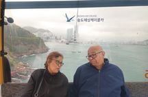 The Busan Coastal & Cultural Adventure Private Tour
