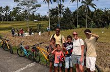 Ubud : Kintamani Downhill Cycling Tour with Lunch