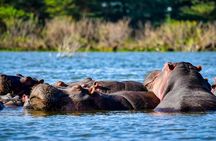 5 Day Scenic Uganda Wildlife Safari and Lake Adventure