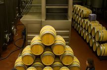 Alicante: Wine Route with 3 Tastings & Castle La Mola