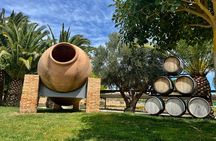 Alicante: Wine Route with 3 Tastings & Castle La Mola