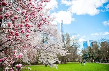 Guided Walking Tour Of Central Park 