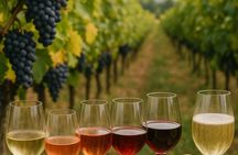 Premium Winery with 7 Tastings and Castle from Alicante and Benidorm
