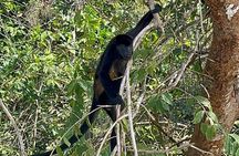 Lake Gatun Nature Cruise Panama Canal Experience