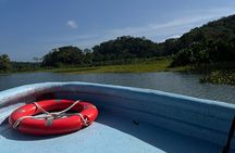 Lake Gatun Nature Cruise Panama Canal Experience