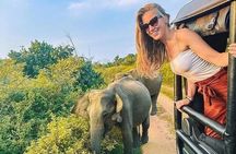 Private Polonnaruwa UNESCO City Tour & Jeep Safari from Sigiriya