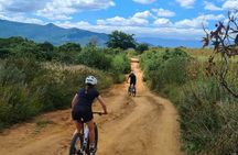 MTB Bike Tour: Santo Domingo Tomaltepec and Monkey Tree