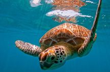 Sian Ka’an Private Oasis: A 3-Hour Secret Lagoon Odyssey