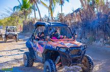 VIP in polaris by Punta Cana, Beaches, Caves and local plantation