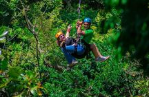 Roatan City tour wildlife and beach 