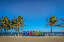 Roatan City tour wildlife and beach 