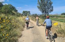 MTB Bike Tour: Tule Tree through the country-side