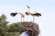 Morocco Tour 11 Days from Tangier