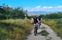 MTB Bike Tour: Tule Tree through the country-side