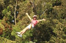 Roatan ATV Adventure with Zip Line Wildlife & Beach Excursion