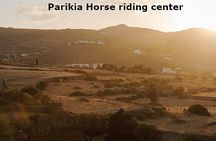 Morning Landscape Horse riding Tour in Paros