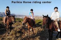 Sunset Landscape Horse riding in Paros 