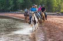 Beginner Brudenell Beach Trail Ride