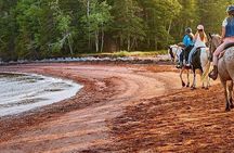 Beginner Brudenell Beach Trail Ride