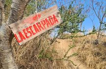 MTB Bike Tour: Enduro to Cerro del Fortín (Black Diamond trails)