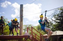 3 Zipline Adventure with Waikiki Transportation