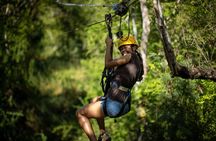  3 Zipline Adventure and 3.5 hour Afternoon Snorkel Cruise