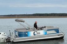 Wildlife Boat Tour with Wild Ponies and Dolphins in Chincoteague