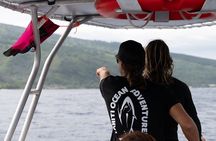 Half day Whales watching PRIVATE group