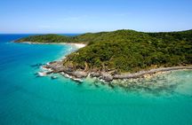 Noosa Whale Watching Tours