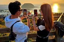Wine, Dine & Penguins Boutique Phillip Island Tour from Melbourne