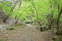 Hiking Adventure to Mt. Mitake, escaping from the Heart of Tokyo